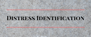 Concrete Distress Identification